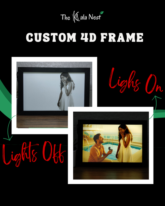 Proposal 4D Light Frame